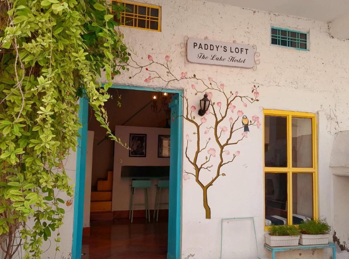 Paddys Loft The Lake view hostel photo 1