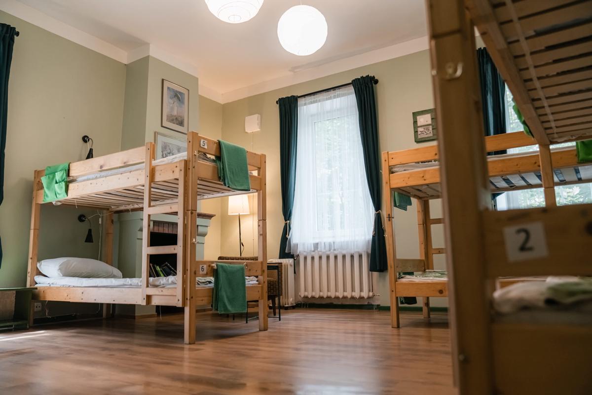 Downtown Forest Hostel & Camping photo 2