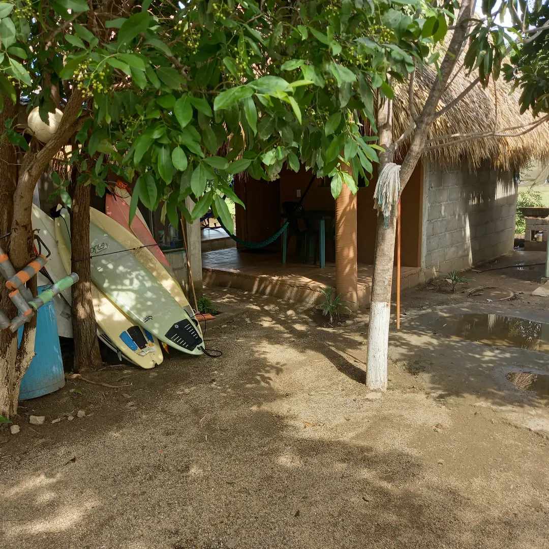 La Bamba Surf House photo 2