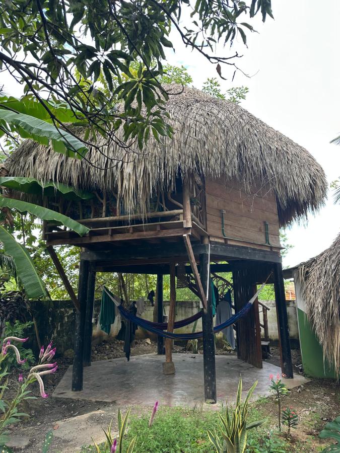 Hostel Nugeku photo 6
