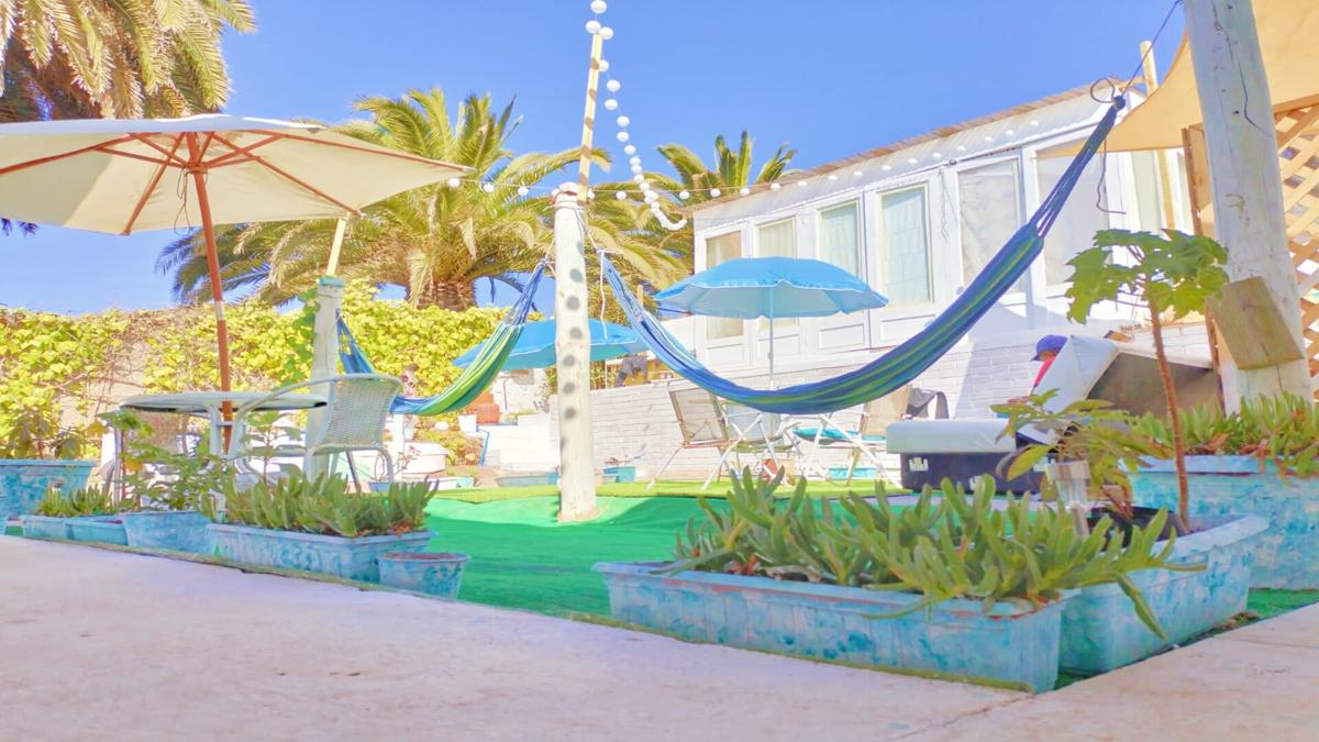 The Ocean Hostel photo 2