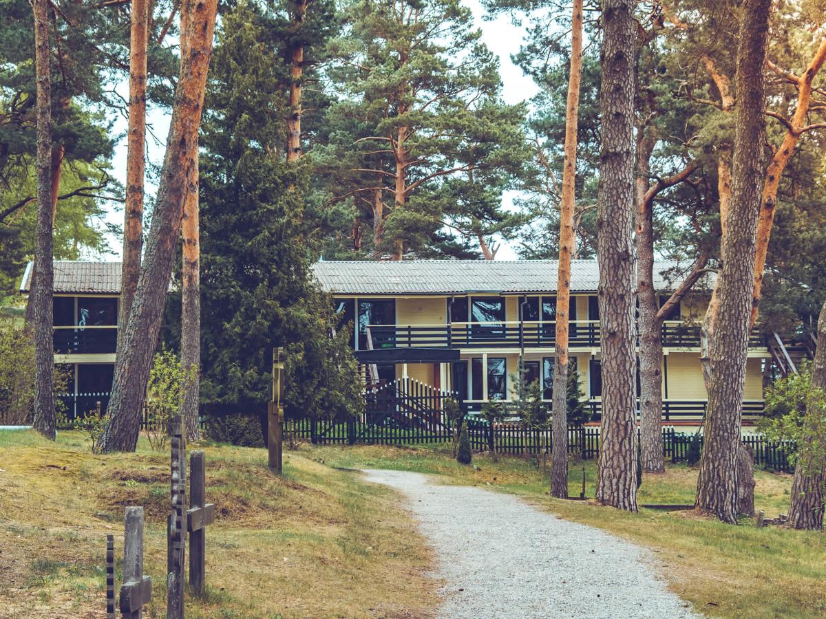 Kastytis photo 3