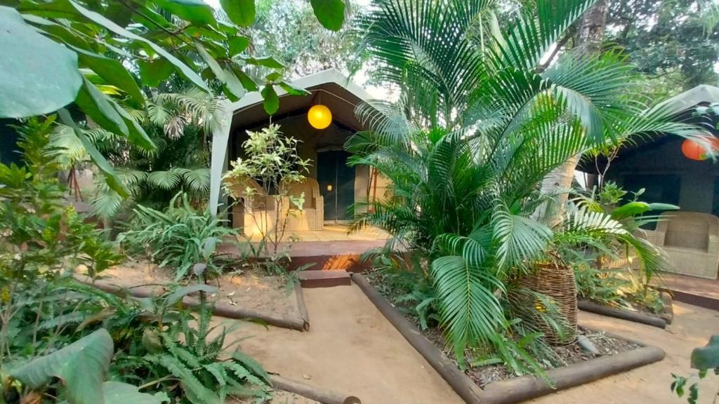 Devocean Lodge photo 1