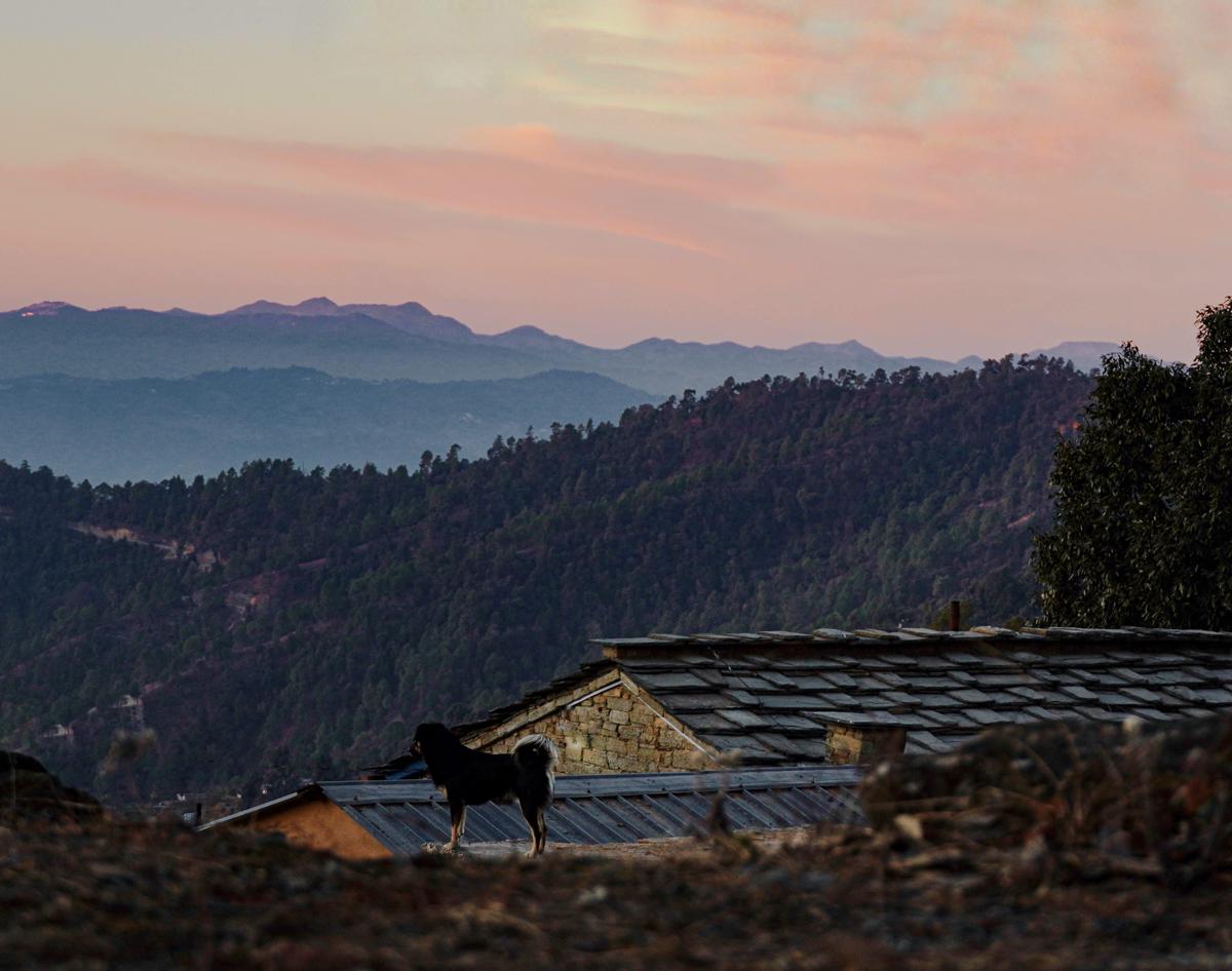 Kot Kailash Retreat photo 1