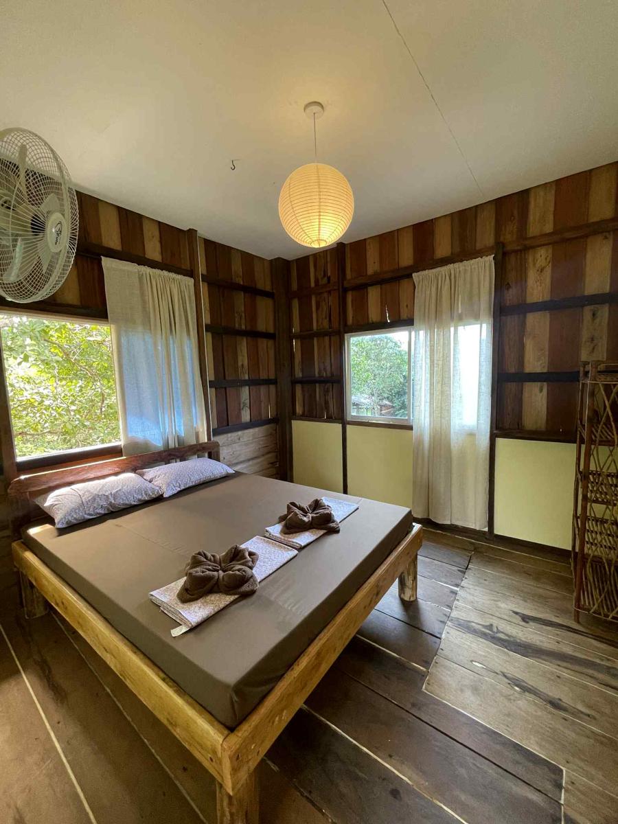 River House photo 1
