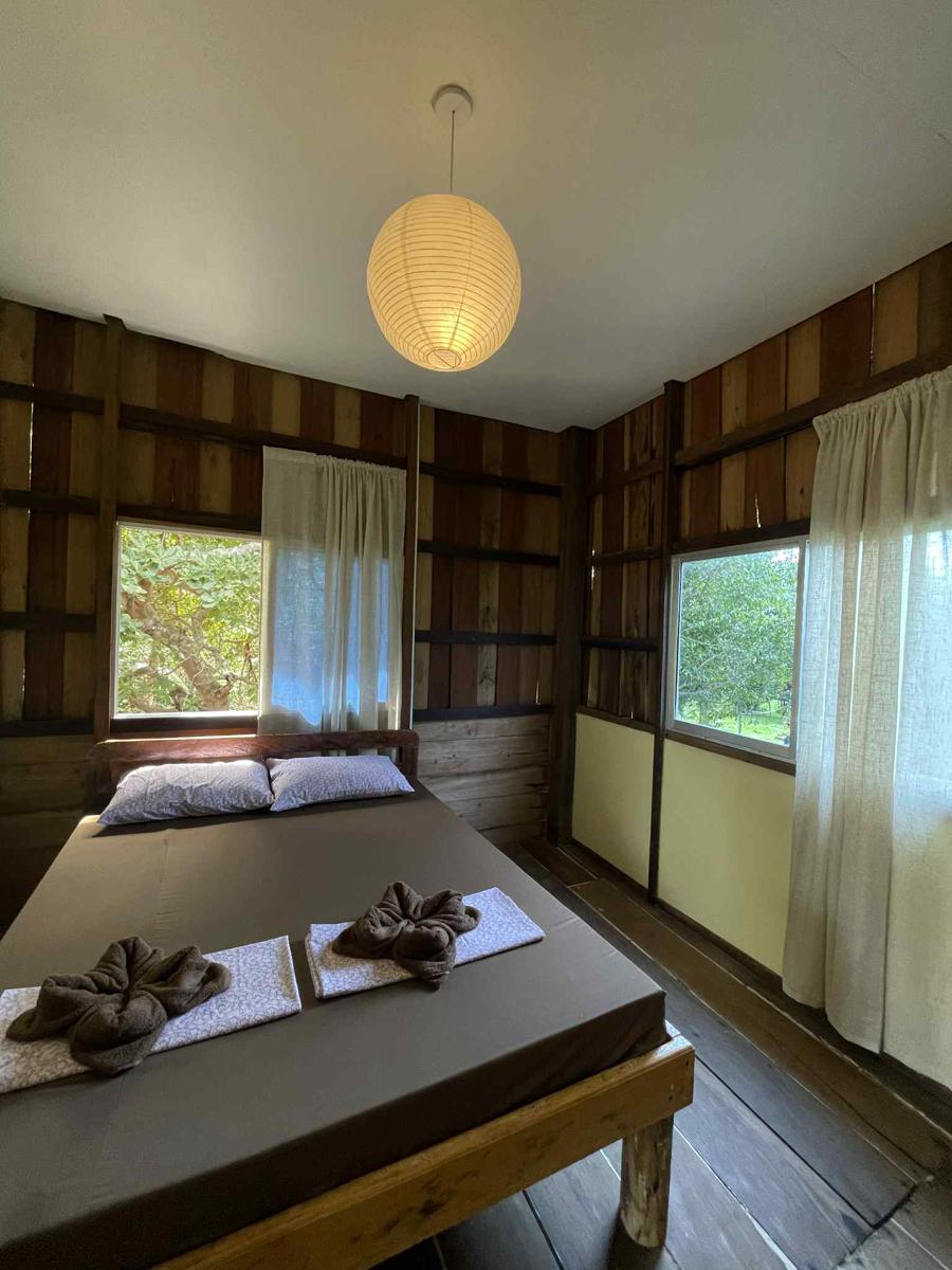River House photo 3
