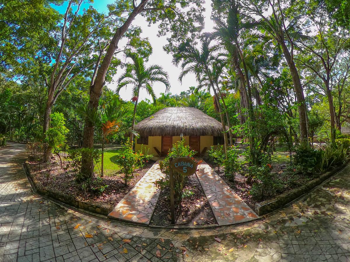 The Mayan Garden photo 1