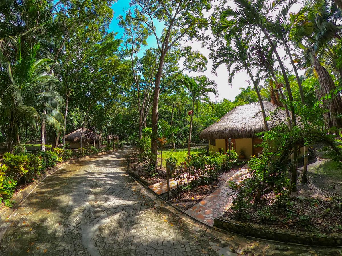 The Mayan Garden photo 4