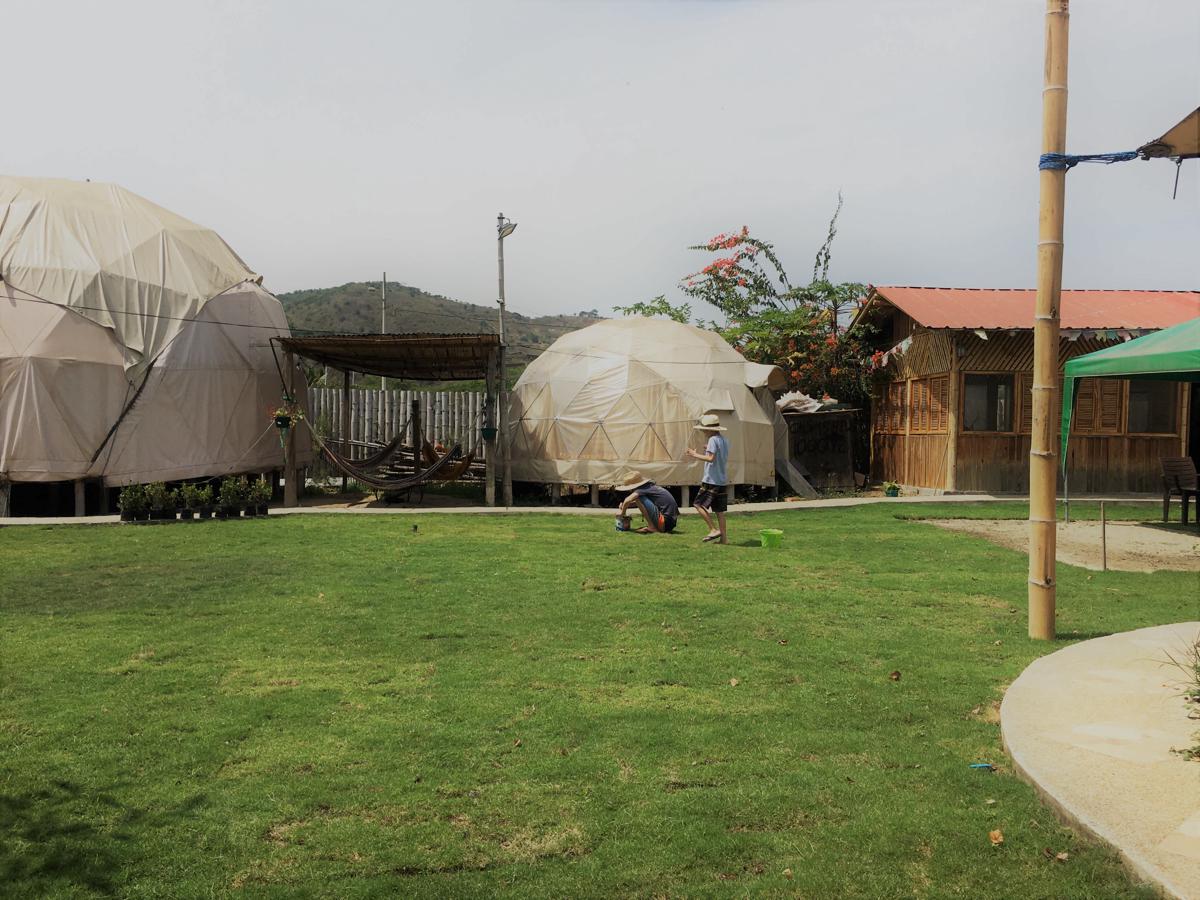 Nativa Whale Domes photo 1