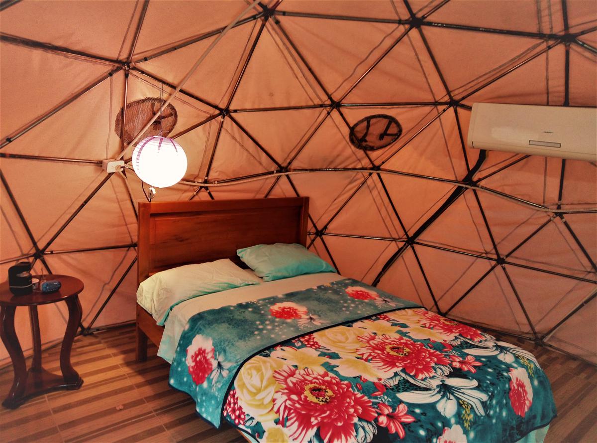 Nativa Whale Domes photo 3