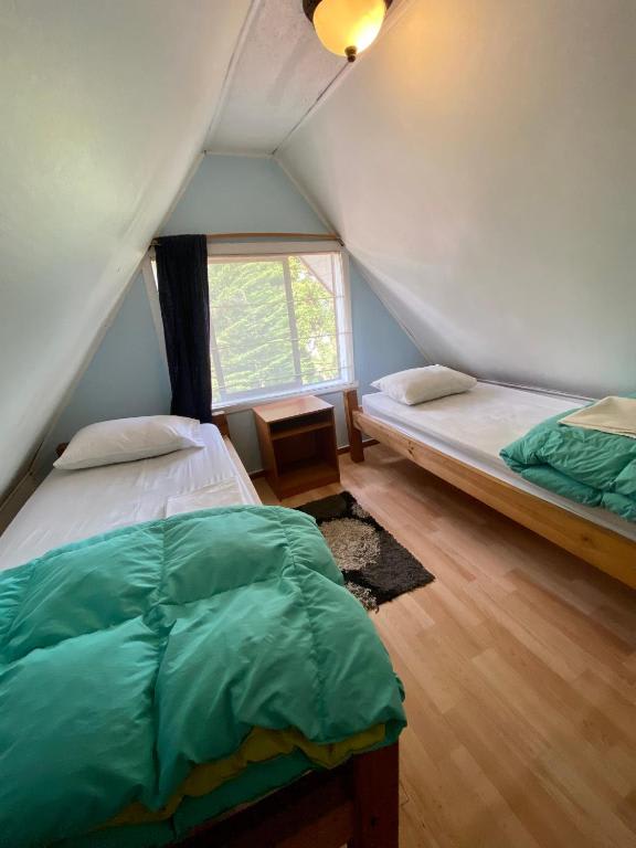 La Guapa Hostel photo 2