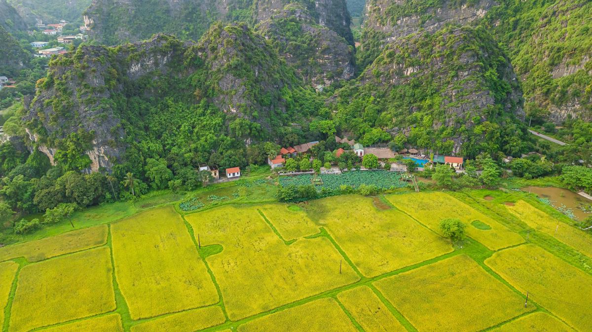 Green Mountain Homestay photo 4