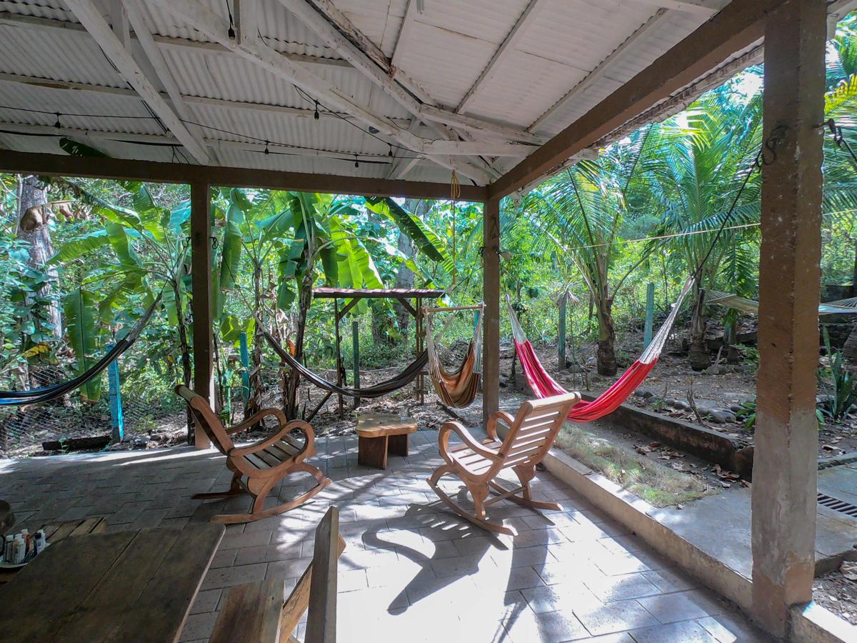 Hammock Plantation photo 4