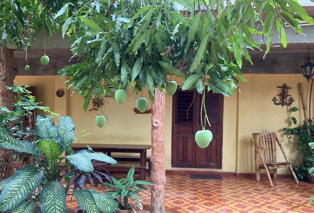 Casa Los Mangos photo 1