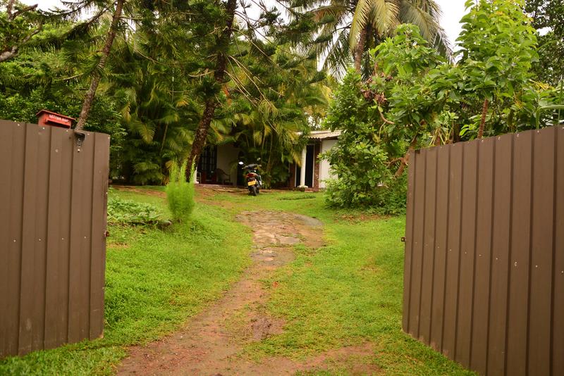 Chinthas Villa photo 4