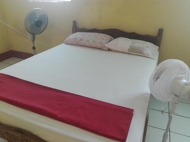 Hostel Papagayo photo 3