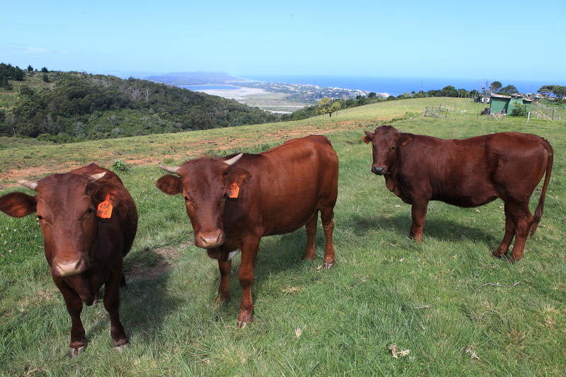 The Wild Farm Backpackers photo 2