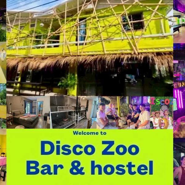 Disco Zoo Hostel photo 5