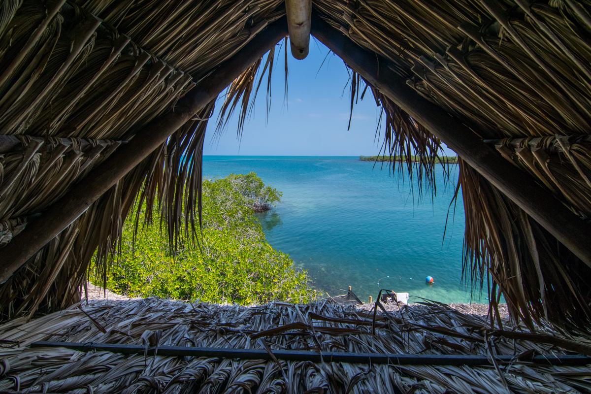 Isla Roots Hostel photo 2