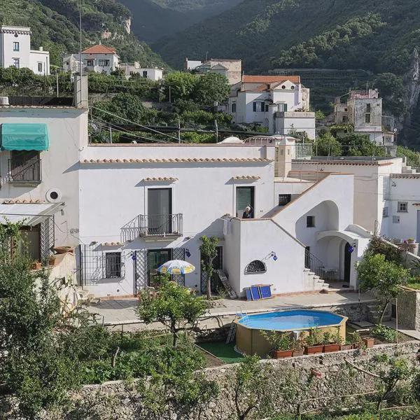 Villa La Zagara photo 5