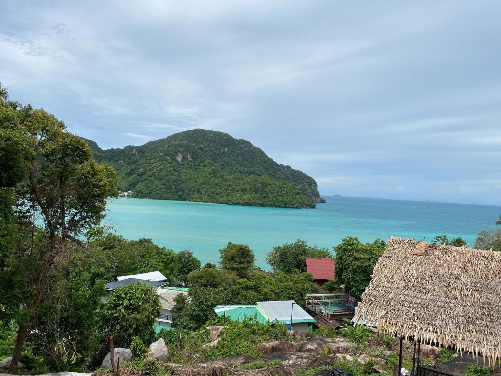 The View Hostel photo 1