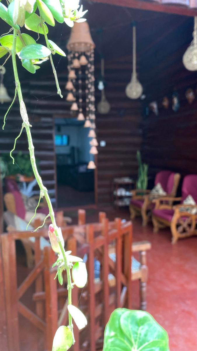Twinkle Cottage photo 2