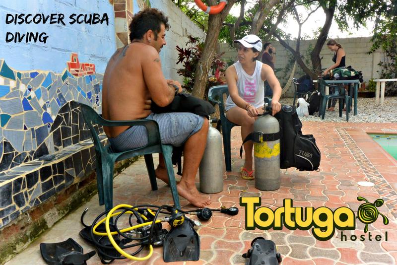 La Tortuga Hostel photo 3