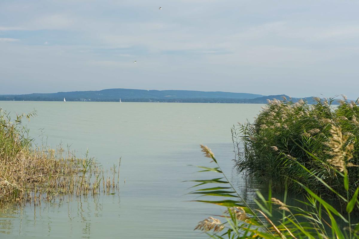 Beach Szallo Revfulop photo 3