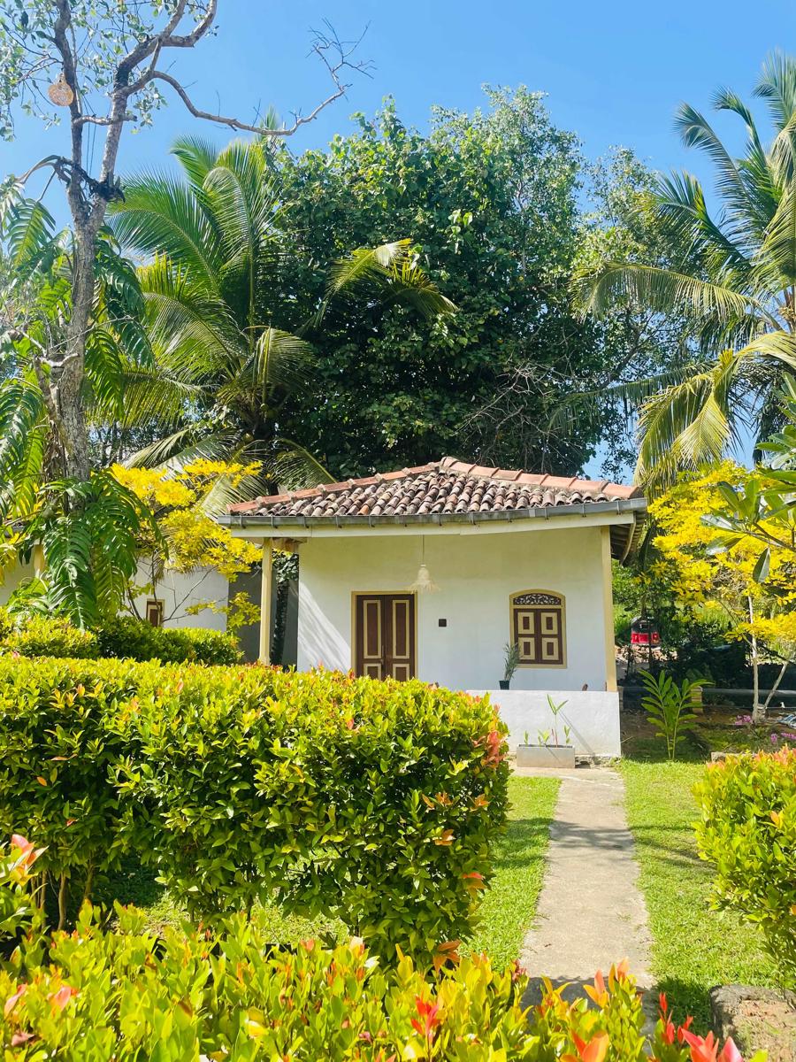 The Cabana Unawatuna photo 3