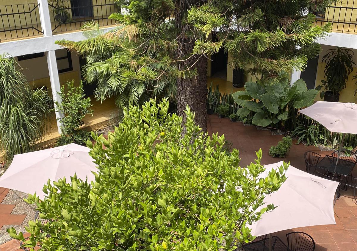 Hotel Allende Morelia photo 3