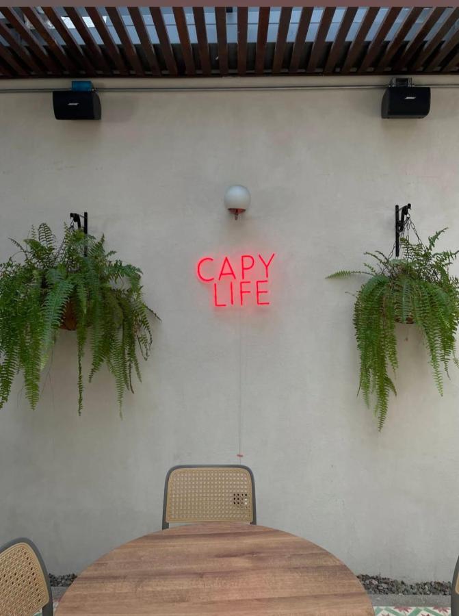 Capybara Hostel photo 6