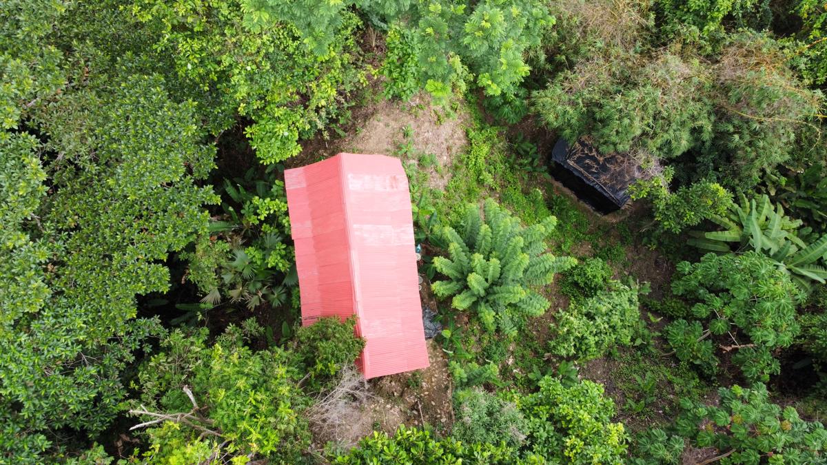 Casinha da Floresta photo 1
