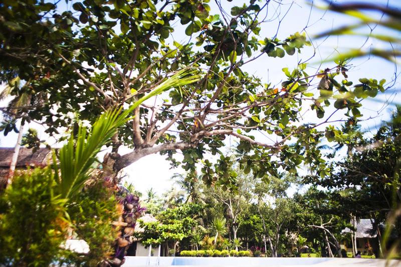 Woodland Beach Resort photo 2