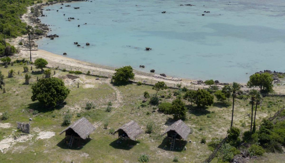 Delft Eco Beachfront Villa photo 3