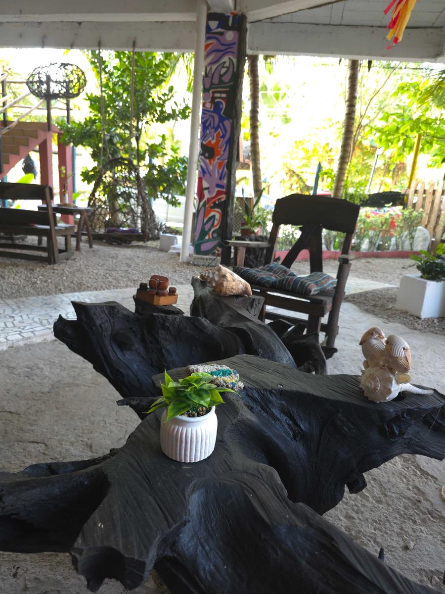 El Árbol de la Vida photo 2
