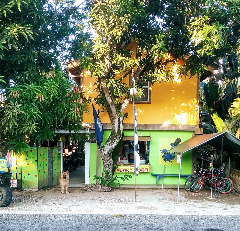 The Funky Dodo Backpackers Hostel photo 1
