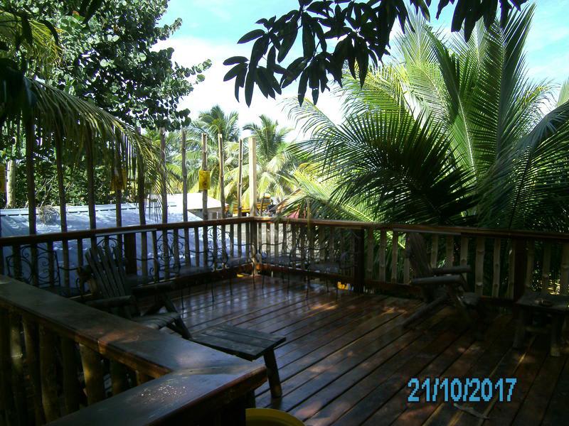 The Funky Dodo Backpackers Hostel photo 4