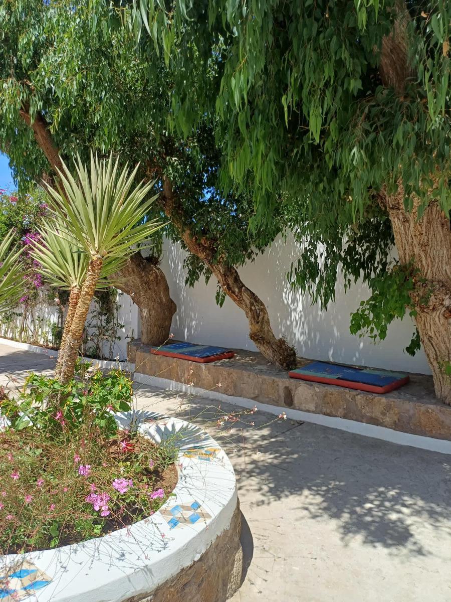 Maison d' Homére photo 4
