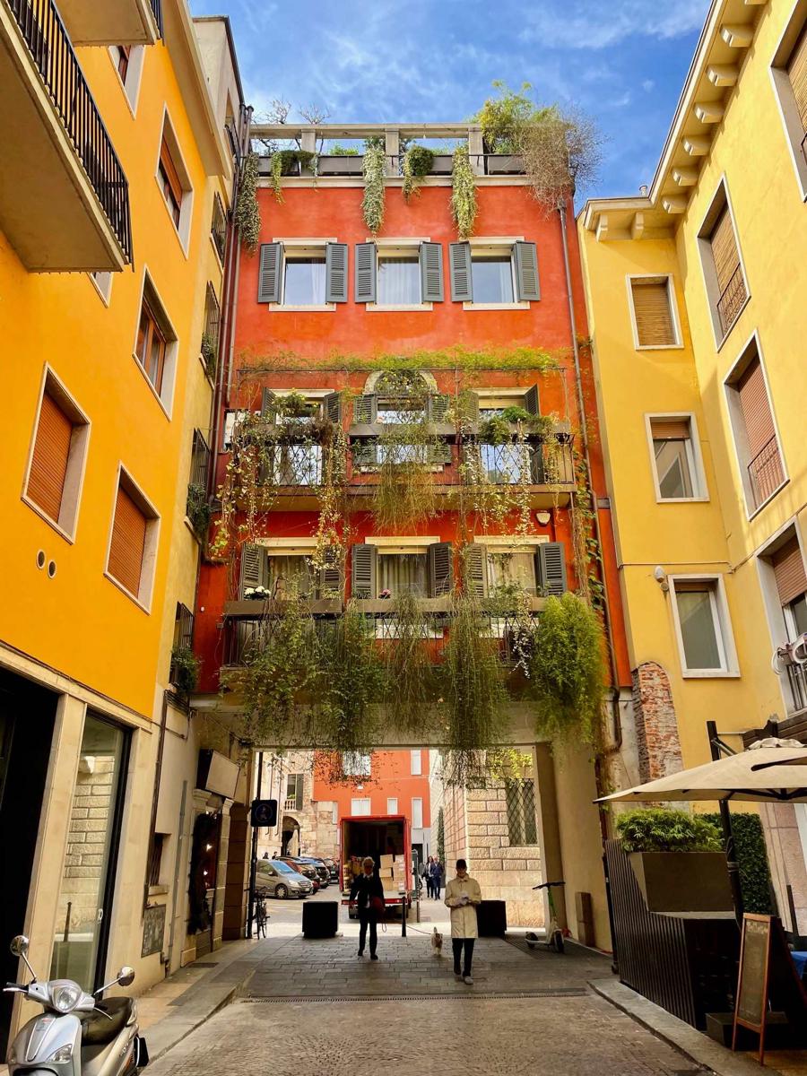Domus Pellicciai photo 1