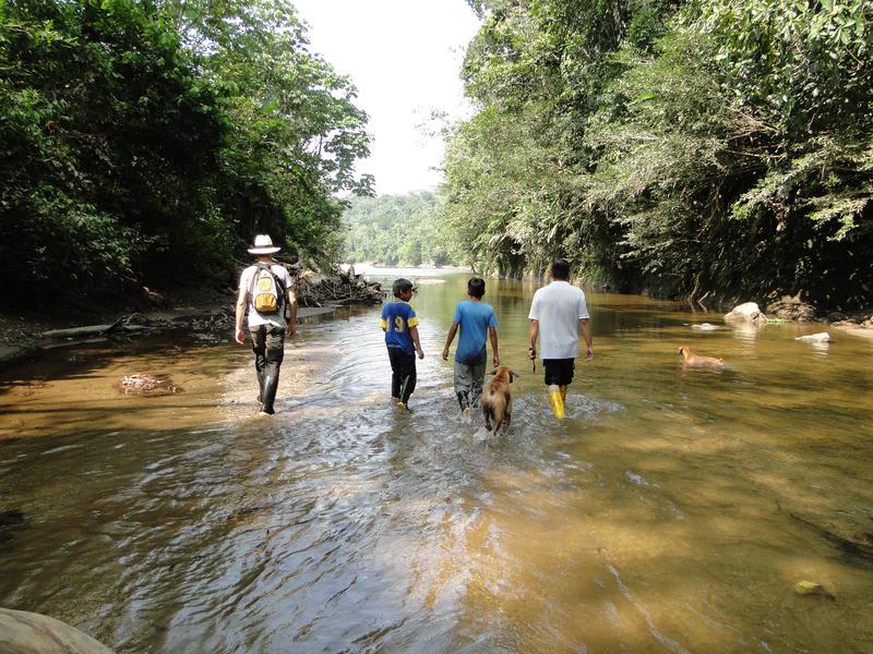 Grand Selva Lodge & Tours photo 1