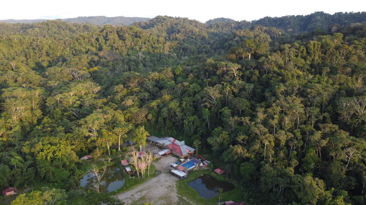 Grand Selva Lodge & Tours photo 4