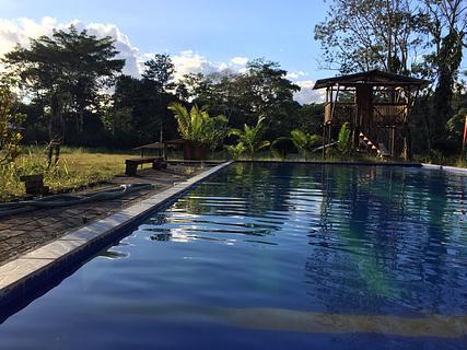 Grand Selva Lodge & Tours photo 6