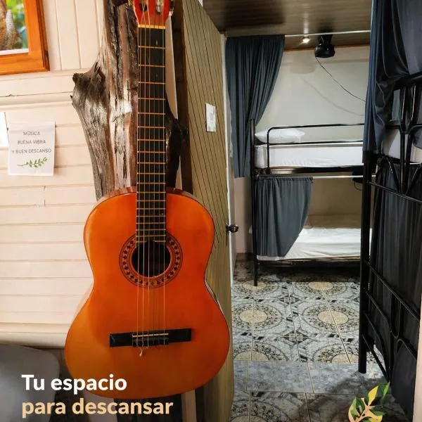 Alpha Arenal photo 5