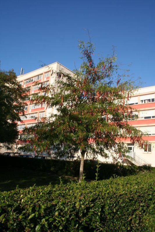 Ethic Etapes Val de Loire photo 4