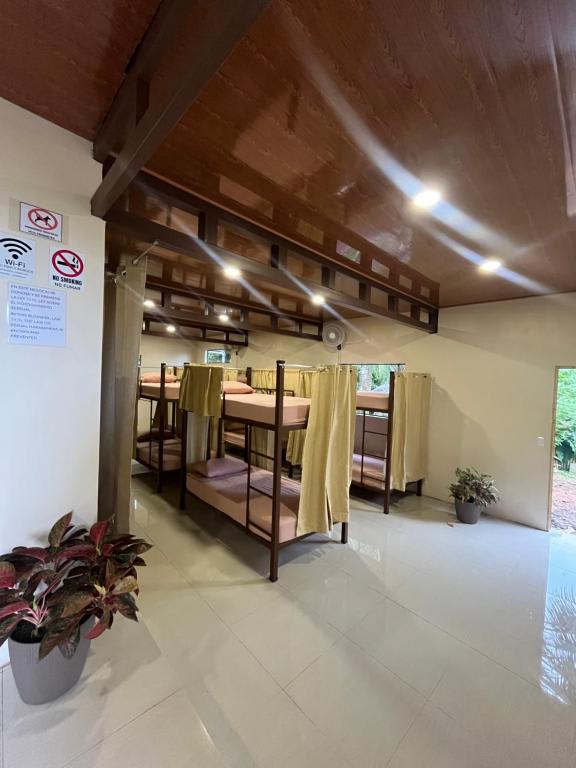 Hostel Mar y Bosque photo 4