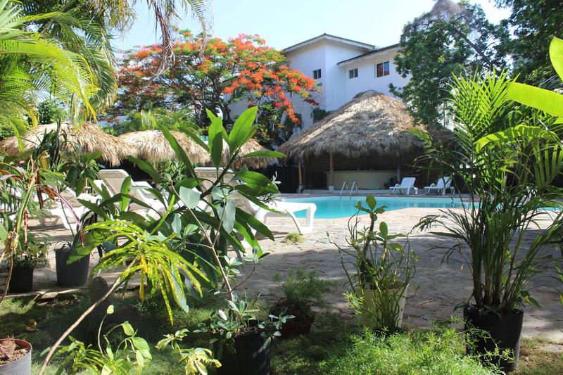 Afreeka Beach Hostel & Music Bar photo 1