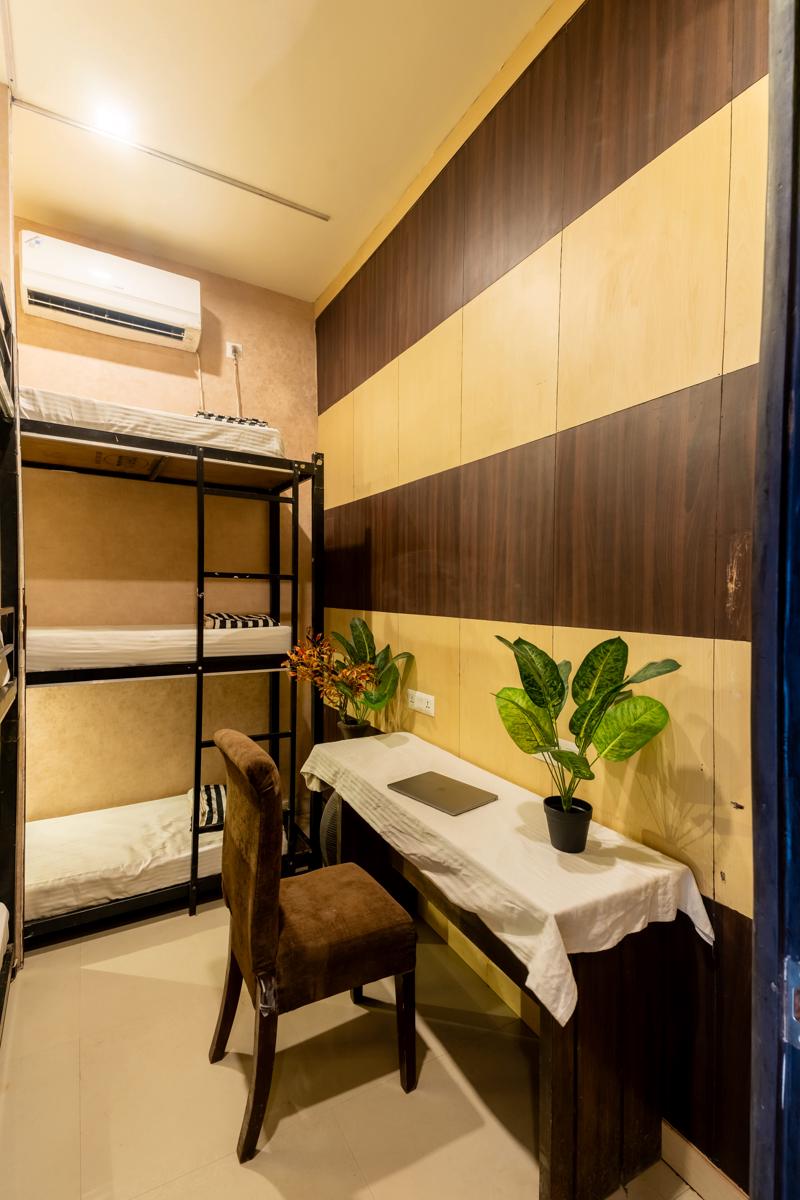 Social Safari Hostel photo 3