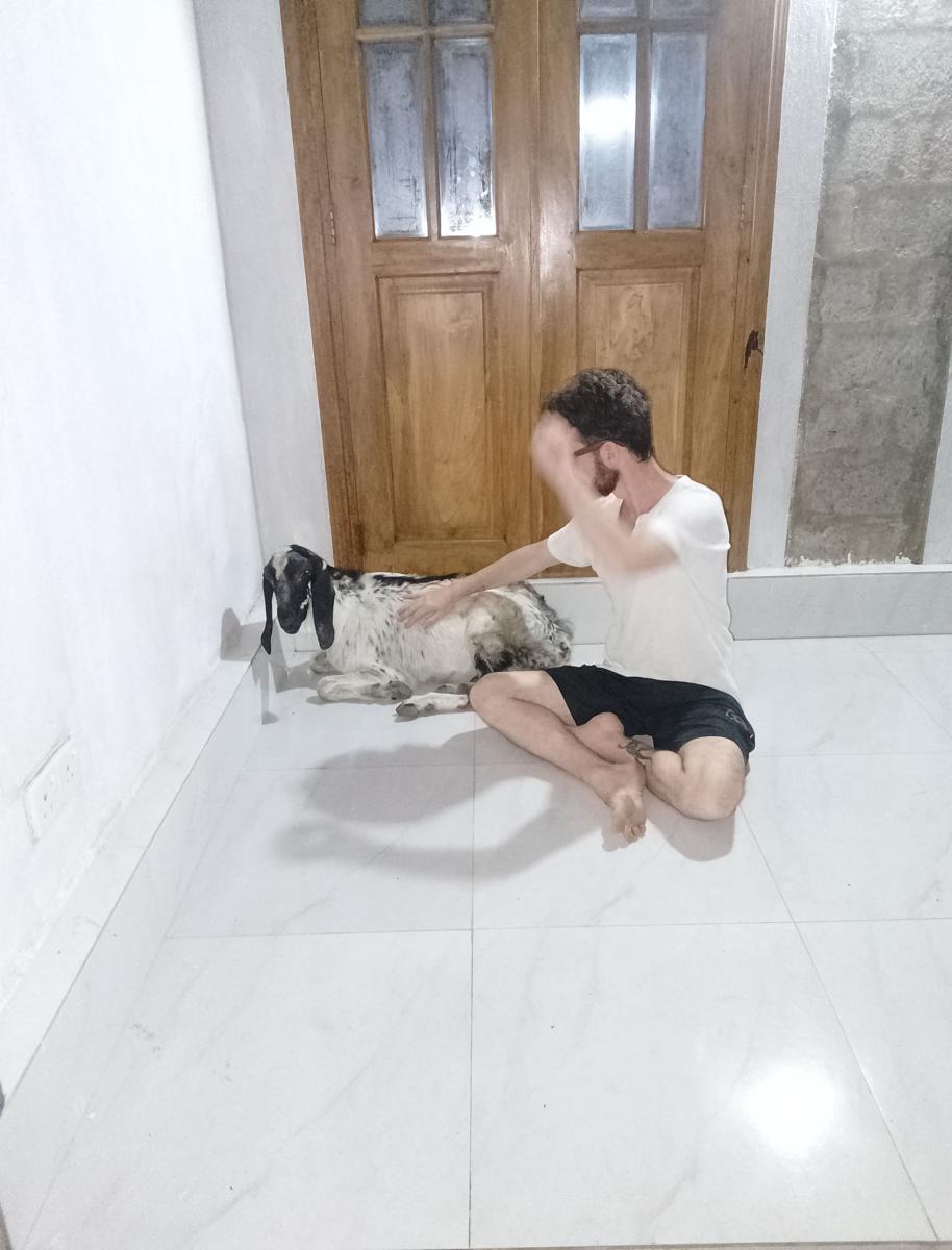 Farm House Hostel photo 4