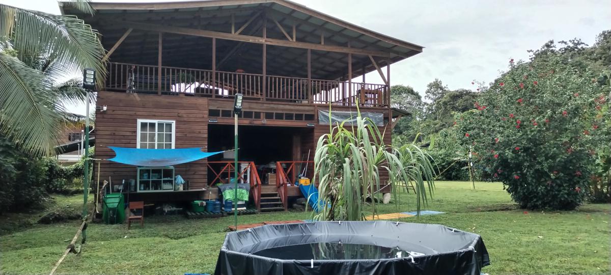 RAB Hostel Bocas photo 2