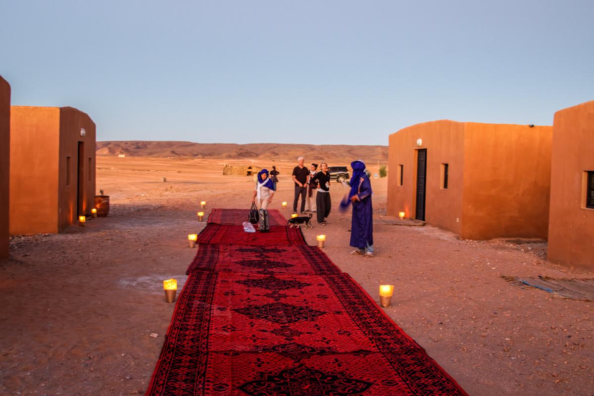 Bivouac de Sahara Peace photo 3